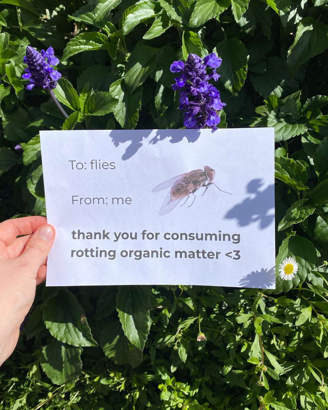 Recent Instagram post from CSIRO