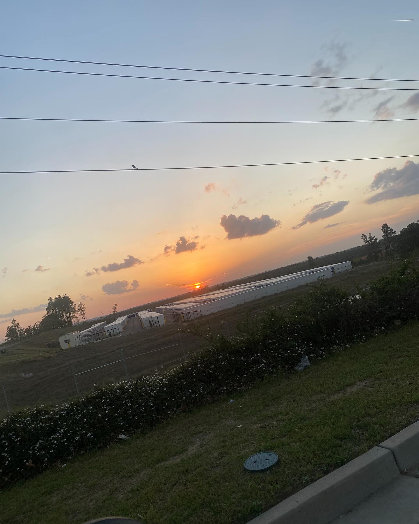 Recent Instagram post from Brock buff 🕊️🙂‍↔️