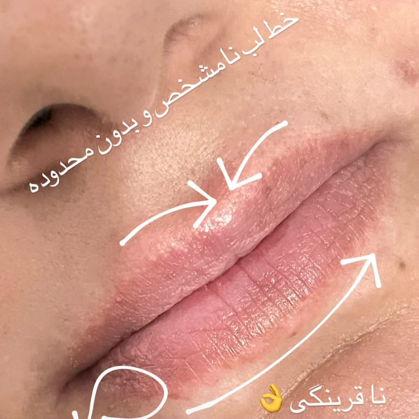 Instagram post 2 from @elahehdabiri_pmu