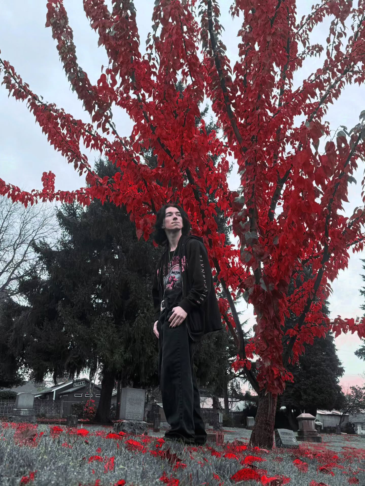 Recent Instagram post from Brooklyn Johnson