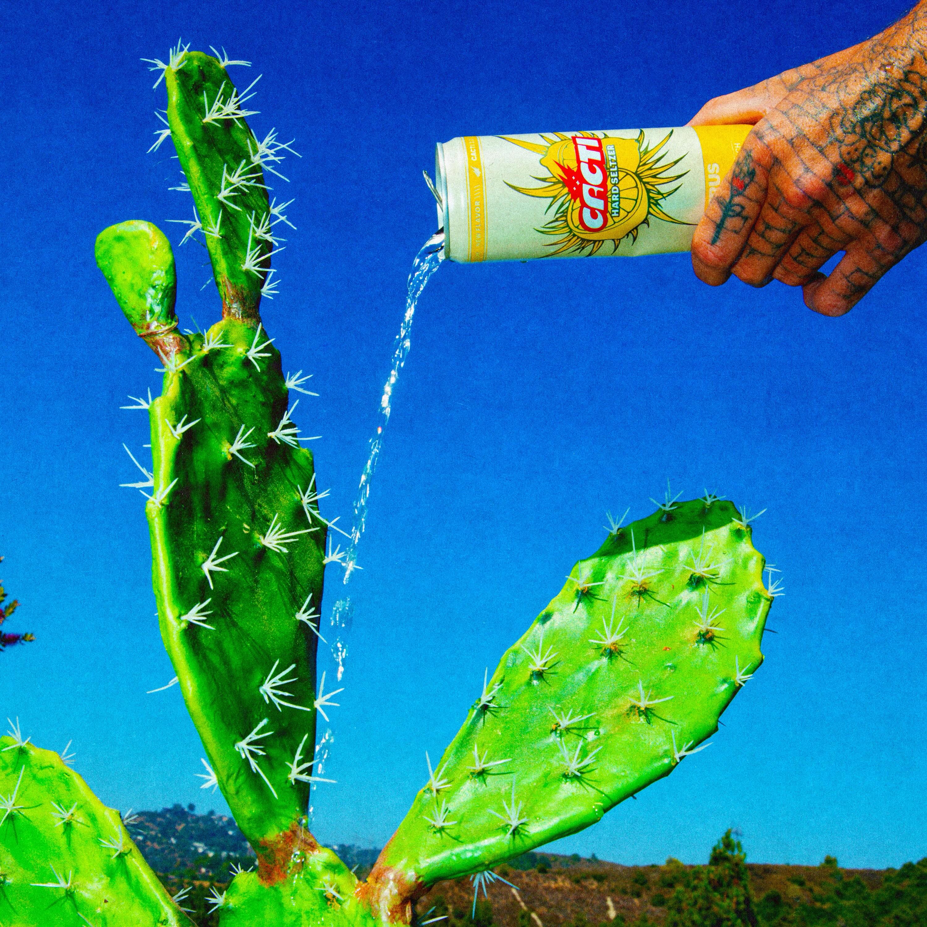 Instagram post 2 from @cacti